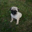 Tyler Doty - @tylerdoty - Twitter