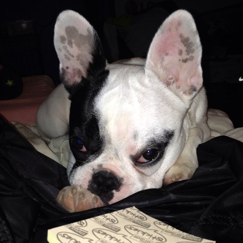 achan267's profile picture. 