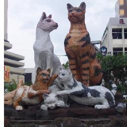 in_kuching's profile picture. Information and news about the beautiful #Kuching ;-)