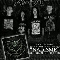 N A D I (@nadi_official) 's Twitter Profile Photo