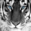 candy murray - @candymurray3 - Twitter