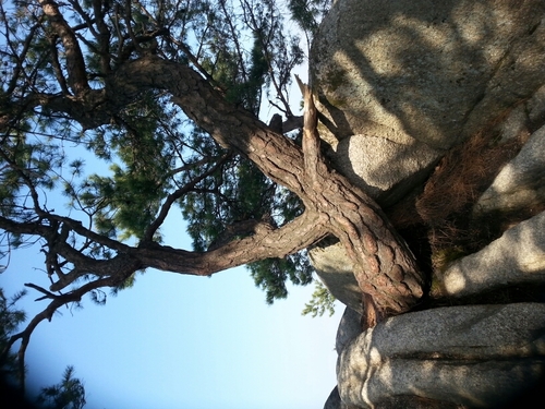 Teayang603's profile picture. 