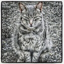 Heidi Steen - @Heidi_Steen - Twitter