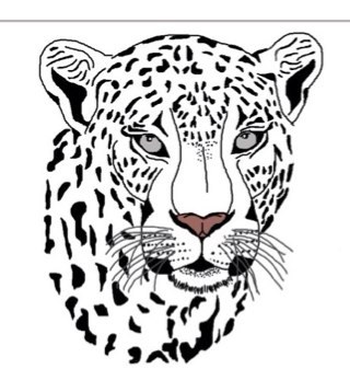 rguidry9's profile picture. 