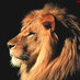feras alhalabi (@farsoo75) Twitter profile photo feras alhalabi (@farsoo75) Twitter profile photo