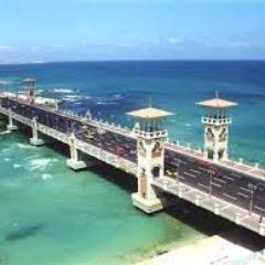 jobsinsidigaber's profile picture. 