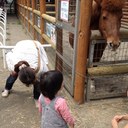 岡田ゆかり (@0214Family) Twitter