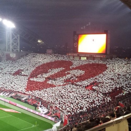レッズサポ⚽️ポジションは変態ボランチで利き足は左足//CX-5//フットサル//サッカー//サッカー観戦//グルメ//呑み//猫//西表島//SUP//渡邊凌磨//安居海渡//伊藤敦樹//