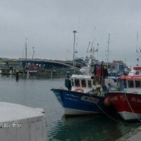 sebastienlecuyer (@harrydu62) 's Twitter Profile