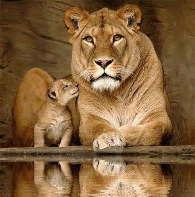 ArcelinaC's profile picture. 