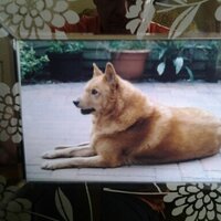 janet court (@janetcourt28) 's Twitter Profile Photo