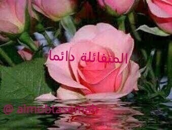 خريجة قسم احياء *اللهم اني اسالك الاخلاص في قولي وعملي