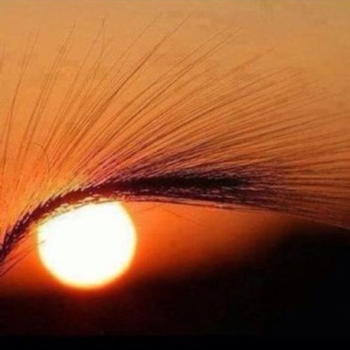 the_happy_Iife's profile picture. 