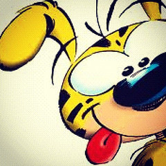 perezrossi's profile picture. 