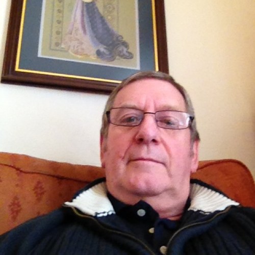 nongatoon's profile picture. 