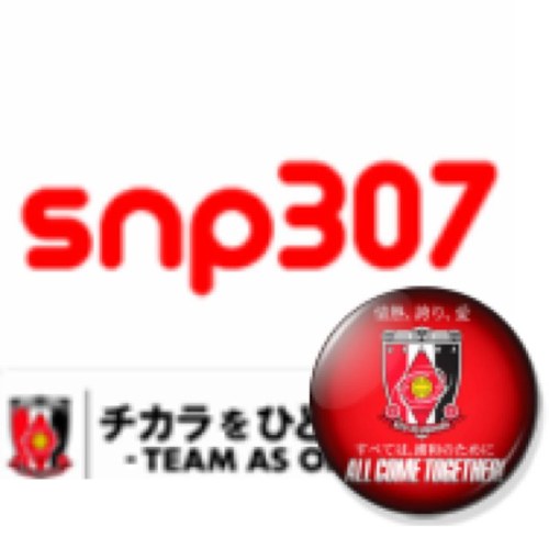 snp307 Profile Picture