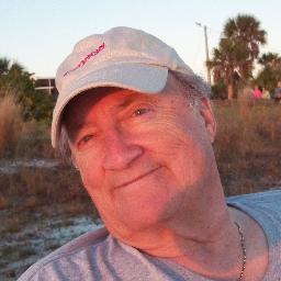 Author/Journalist: Focused commentary on politics, culture, environment