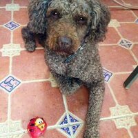 Mamen Valverde (@mamenvalverde1) 's Twitter Profile