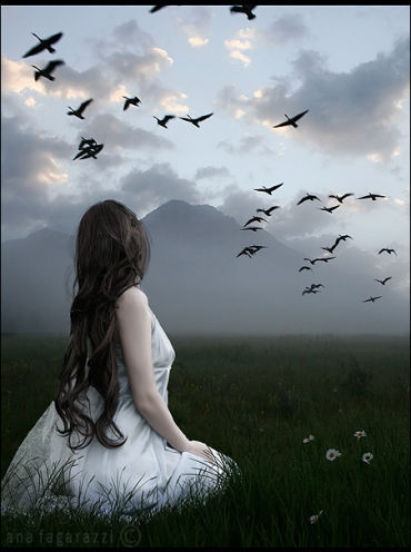 14_amoool's profile picture. سيء جداً حين يختبِئُ شيئًا بِداخلنا ، ليس لنا القُدرة على التخلص مِنه ، لايُحكى ، لايُكتب ، لايُفهم ، وليتهُ يُمحى