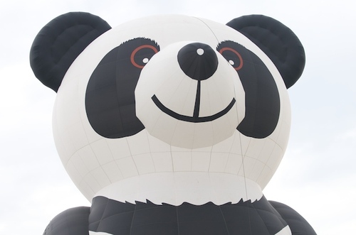 avidalone's profile picture. Producer / Editor for video and digital content. information design, travel. Oh yeah, the internet.