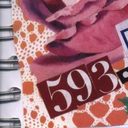 593.EC (@593ECmusic) Twitter