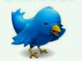 super_seguidor_'s profile picture. 