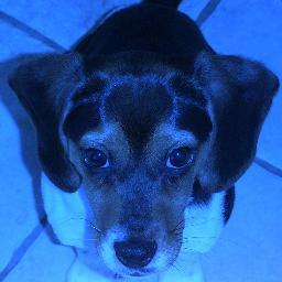 bettyb35's profile picture. 