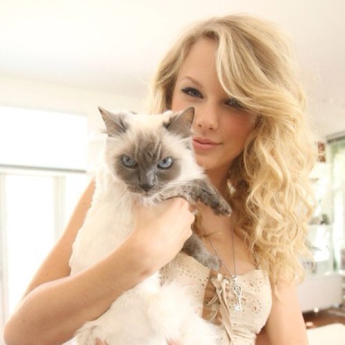 Athletics | @taylorswift13 | Swifty since 2007 | Multi-fandom tho |