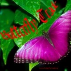 Schauen sie auch in unseren anderen Shop + Dark Fashion - Gothic Clothes and Lingerie. http://t.co/YNInZQp4sQ
