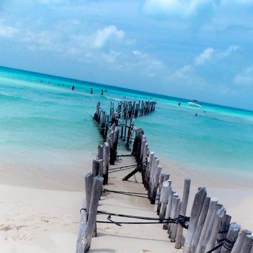 CindyPecaDolan's profile picture. Wife. Sister. Aunt. Friend. Teacher. Love you, mean it!