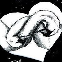 Dead Swans (@deadswansuk) Twitter profile photo