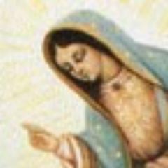 pnsguadalupegba's profile picture. Twitter da Paróquia Nossa Senhora de Guadalupe. Administrador Paroquial: Pe. Romildo José.