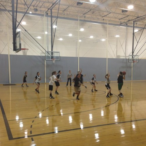 Lady Golden Bear Basketball Team