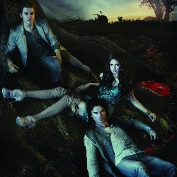 The Vampire Diaries Fanclub. Couples and new posts and things every week.