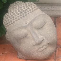 juliescarrone1's profile picture. I would rather have my mind opened by wonder than closed by belief. Thanks for the thought, Gerry Spence.