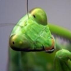 Cybermorzh Profile Picture
