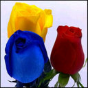 aida bello - @aidabelloo - Twitter