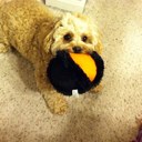 Sandy Mccabe - @SandyMccabe1 - Twitter