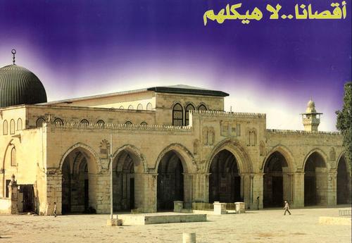 ascali_ayoub's profile picture. 