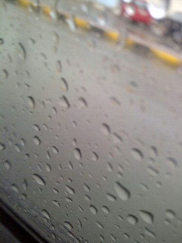 WasosH's profile picture. 