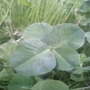 Edna Morse - @EdnaMorse11 - Twitter