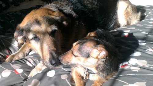 StevieNo3's profile picture. Enjoyer of good beer and nice food living in