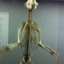 Drew Bowman - @Omargodoftoes - Twitter