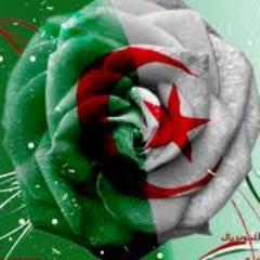 meidiabdo's profile picture. 