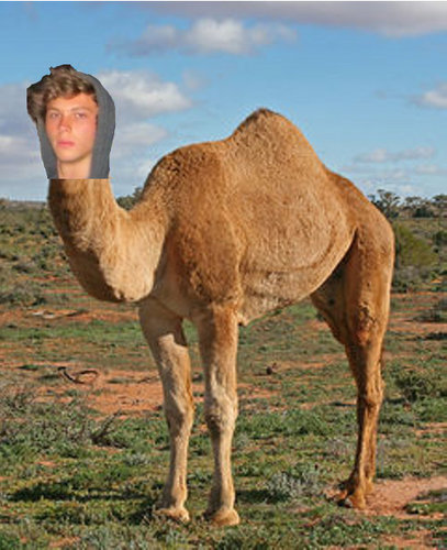 I am keatons camel