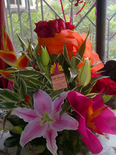 liolielei's profile picture. Madre, hija, esposa, amiga, para quienes me dan su confianza: siempre incondicional