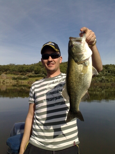 Rober_____'s profile picture. 