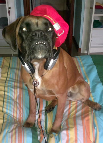 melapelaymas's profile picture. melapela