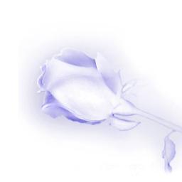 SREStudios's profile picture. 