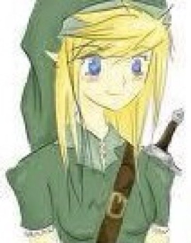 my name is link. The real link off of TWILIGHT PRINCESS